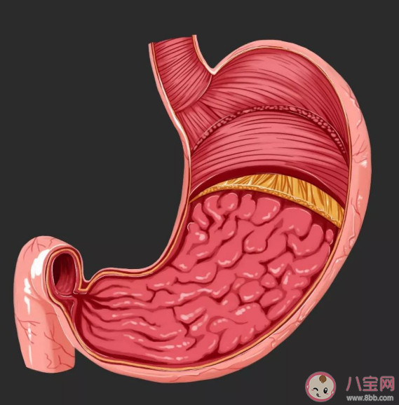 为什么很多人不愿意做肠胃镜 肠胃镜检查的作用是什么