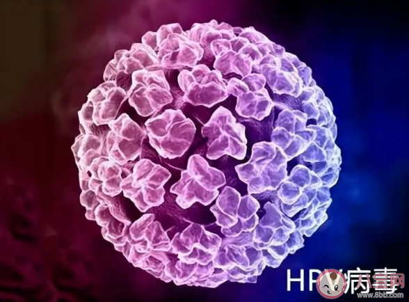 HPV的男性感染率有多高 男性如何远离HPV