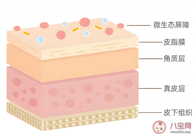 皮肤屏障有几层 如何修复皮肤屏障
