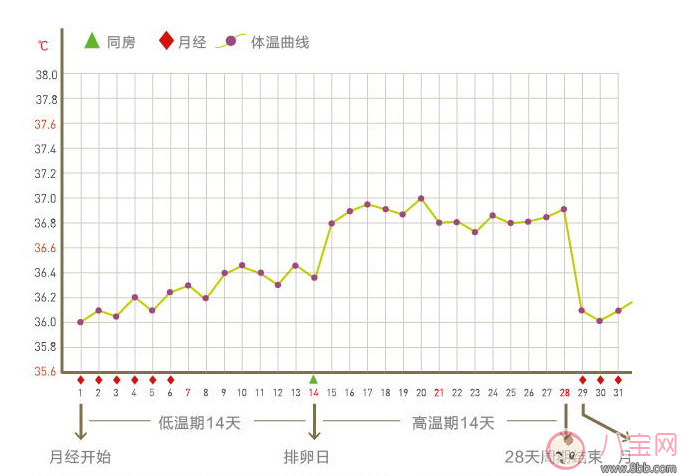 女性备孕基础体温贴孕律怎么样 孕律测评