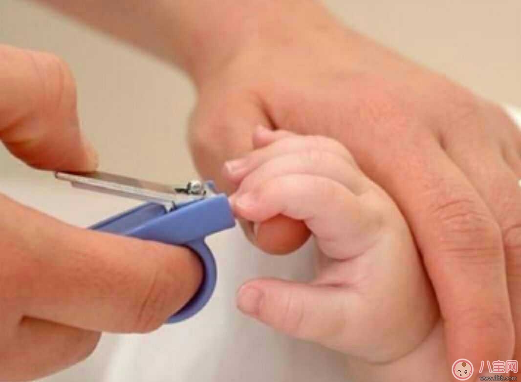 如何给宝宝剪指甲 剪指甲的正确方法