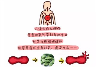 新生儿蚕豆病是否需要治疗 蚕豆病能否根治