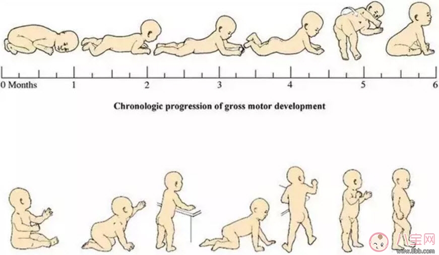 宝宝脊柱成型的关键时期有哪些 哪些行为会伤害宝宝脊柱