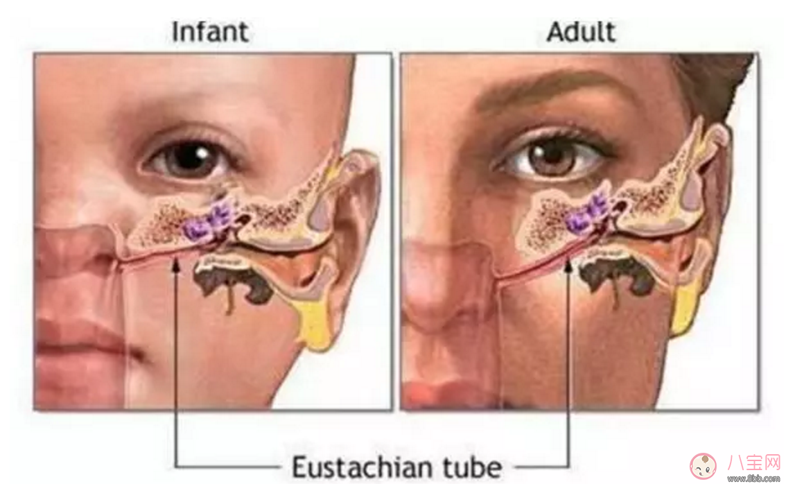 宝宝耳朵痛 小心感冒引起中耳炎