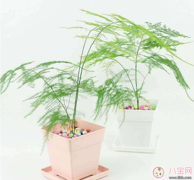 教师节送花只知道康乃馨怎么行 2017最适合送老师花推荐