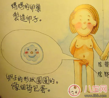 如何给孩子普及性教育 羞羞的事怎么跟孩子讲比较好