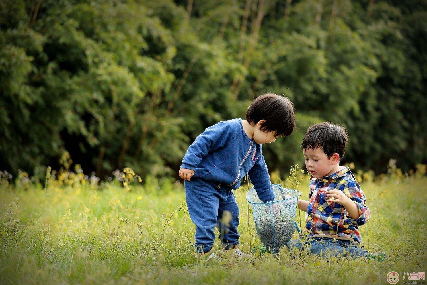 为什么宝宝爱告状 孩子打小报告会影响人际关系吗