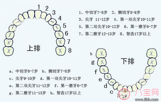 孩子牙掉了 家长应注意什么