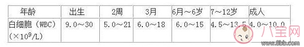 如何看小儿血常规化验单 从化验单里能知道什么