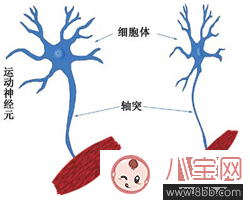 渐冻症是什么病能治好吗 渐冻症能活多久在什么人群中常见