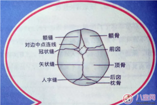 孩子头部正常是什么样子的 孩子头部发育规律分享