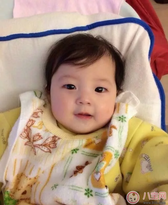 育儿|小泡芙幼时软萌照片有哪些 为什么小泡芙那么乖巧