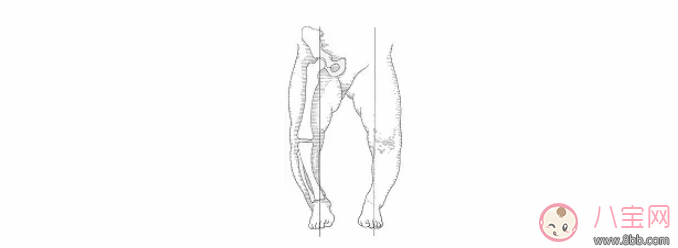 太早站立的宝宝会有问题吗 太早站立究竟会不会造成O型腿