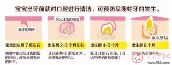 孩子|MAM洗牙兔子怎么样 MAM洗牙兔子宝宝试用效果测评