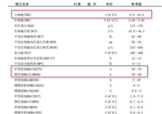 小孩血常规报告单白细胞分析 怎么看宝宝血常规报告单白细胞高还是低