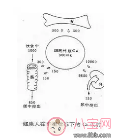 孩子|孩子补钙会上瘾吗 给孩子补钙过多又会什么影响