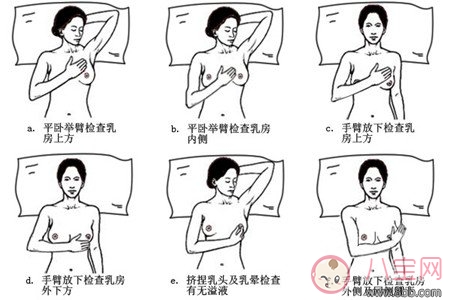 备孕|乳房大小影响生育能力 这种说法的依据在哪里