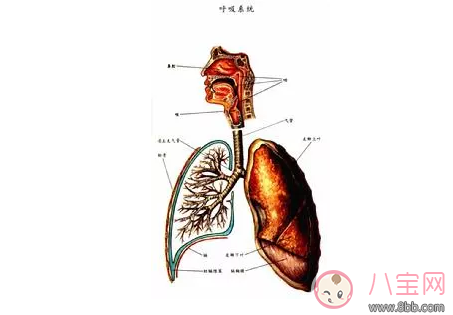 孩子|雾霾天孩子容易发哮喘怎么办 如何预防哮喘