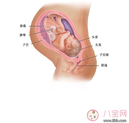 羊水过多怎么办 羊水过多该怎么处理