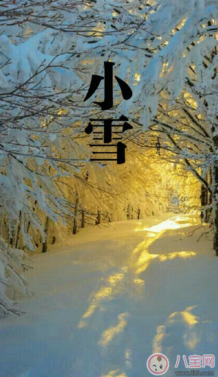 2017关于小雪节气的图片 小雪节气发什么朋友圈好