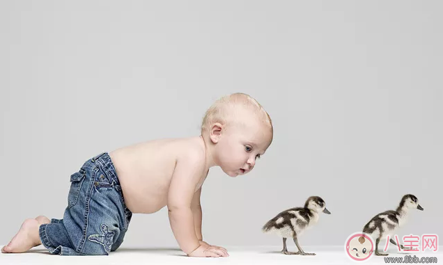 孩子|孩子不和别人玩是自闭吗 孩子不合群怎么办