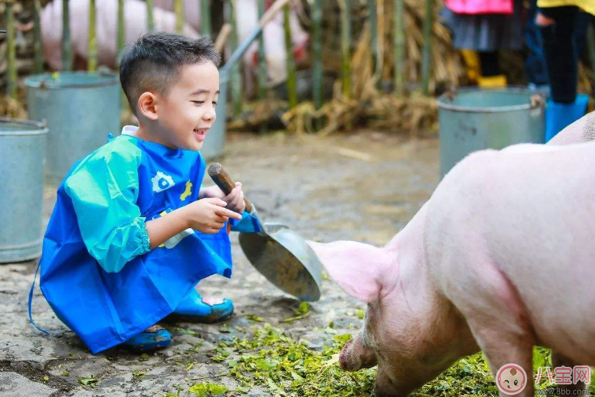 Jasper喜欢翻白眼 小孩子翻白眼好不好