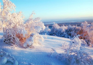 大雪节气出生的人命好不好 大雪出生的人有什么征兆