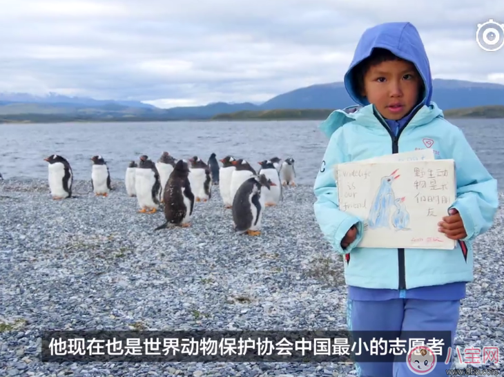 孩子上幼儿园玩重要还是学习重要 用买房的钱带孩子环游世界好不好