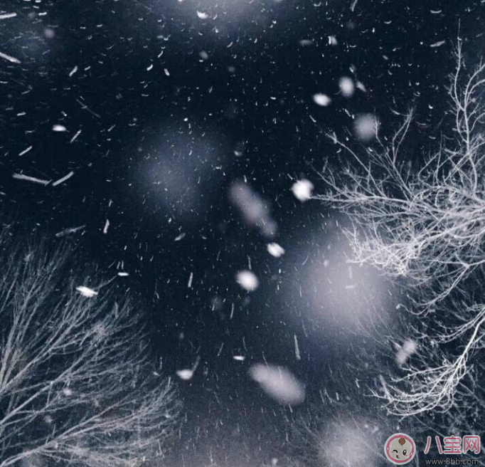 2018年第一次下雪说说朋友圈 2018下雪发什么朋友圈配什么图片好