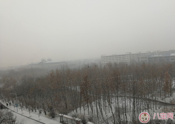 2018年第一次下雪说说朋友圈 2018下雪发什么朋友圈配什么图片好