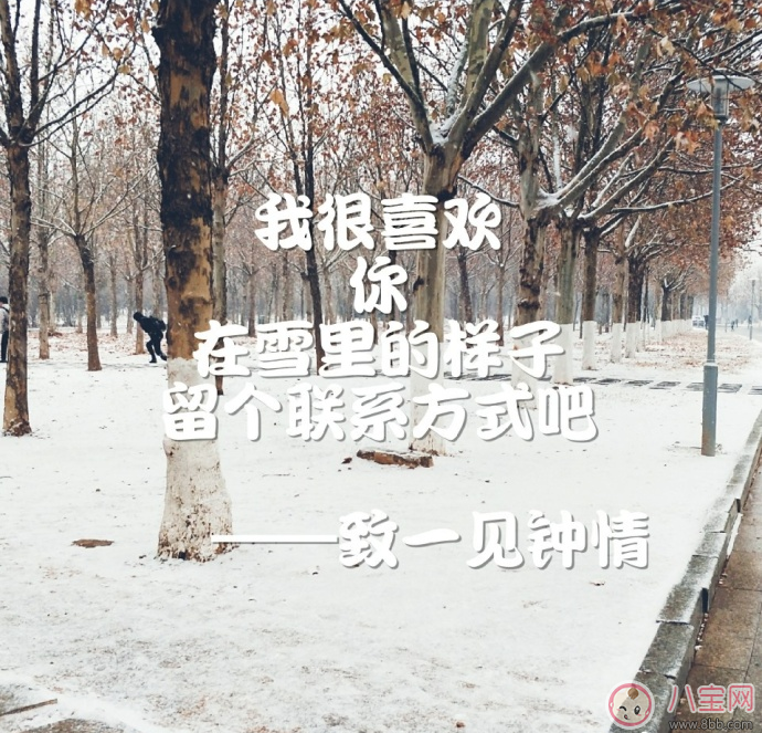 2018年第一次下雪说说朋友圈 2018下雪发什么朋友圈配什么图片好