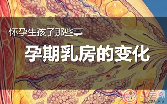 怀孕|怀孕乳房有肿块是怎么回事 怀孕乳房肿胀是什么原因