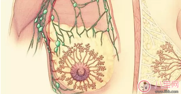 怀孕|怀孕乳房有肿块是怎么回事 怀孕乳房肿胀是什么原因