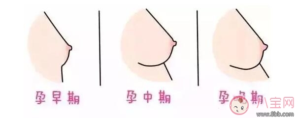 女性孕期乳房有什么变化 孕期乳房胀痛如何护理