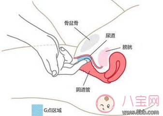 女性G点位置怎么找 怎样刺激女性G点的方法