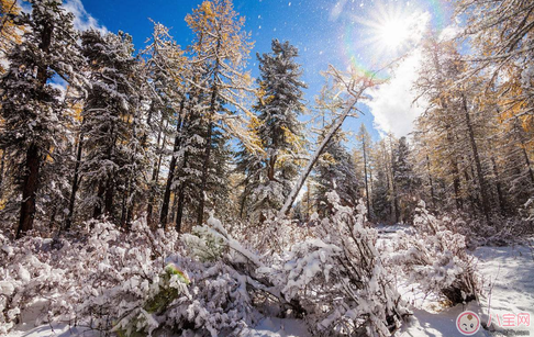 表达下雪后的心情句子说说   关于下雪的唯美句子说说朋友圈