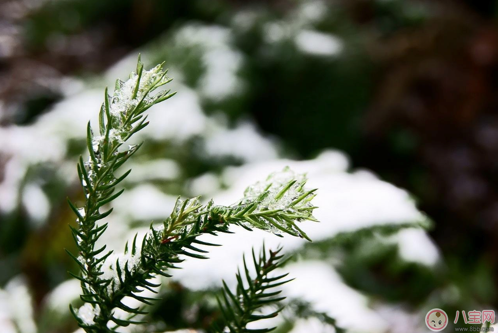 表达下雪后的心情句子说说   关于下雪的唯美句子说说朋友圈