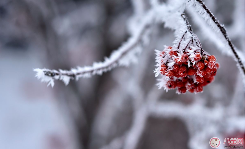 2018下初雪的唯美文字说说     关于下雪了的唯美说说朋友圈