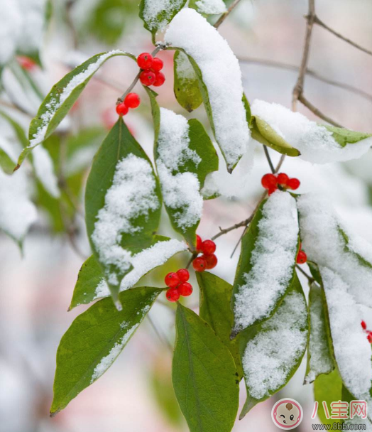 2018下初雪的唯美文字说说     关于下雪了的唯美说说朋友圈