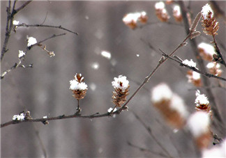 2018下初雪的唯美文字说说     关于下雪了的唯美说说朋友圈