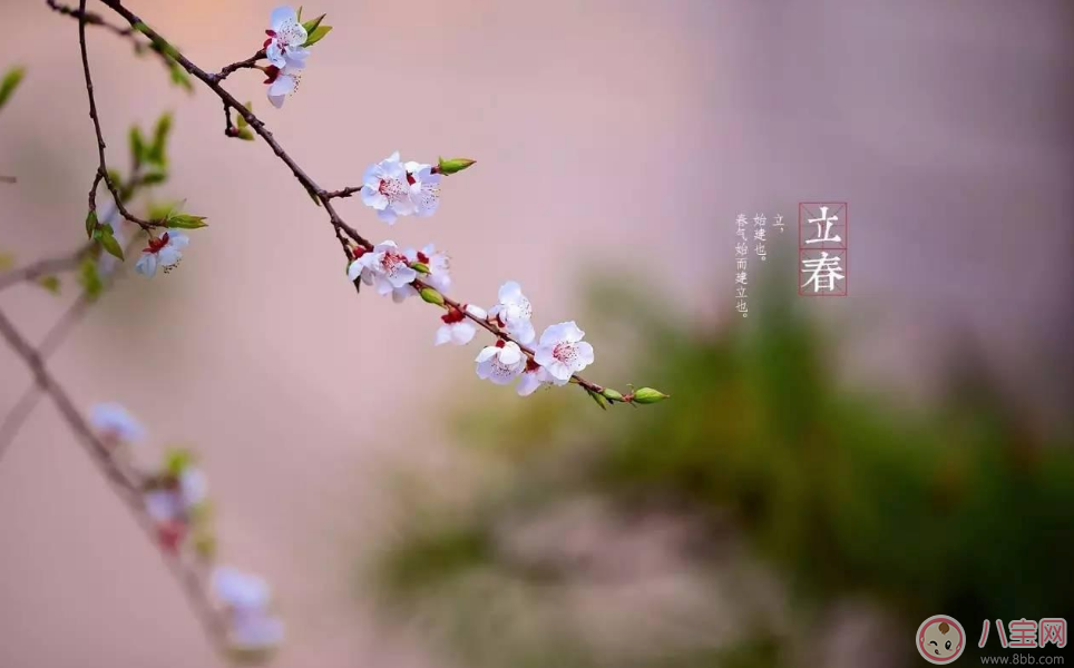 2018今日立春配图句子说说朋友圈   今日立春节气心情说说短语