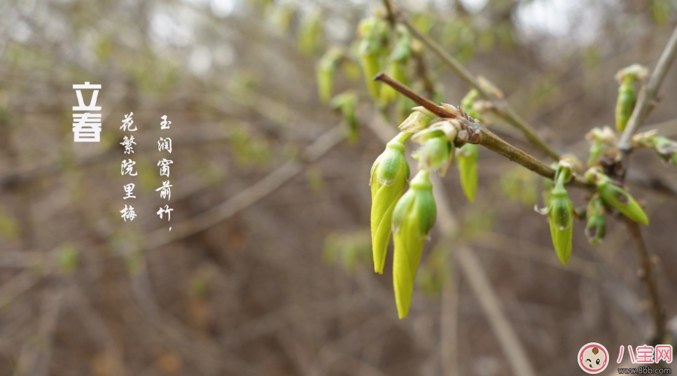 2018今日立春带图素材说说朋友圈    今天立春带字图片说说朋友圈