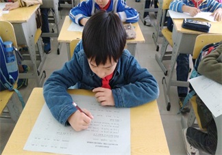 小学生考试怎么复习比较好 家长怎么带着孩子进行复习