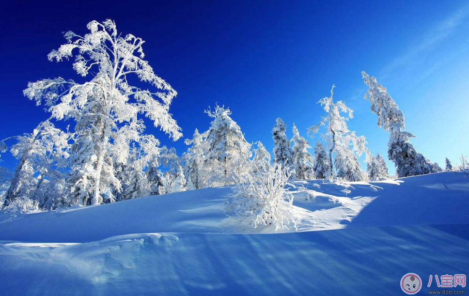 形容第一次看见雪的心情句子   第一次见到雪心情短语说说朋友圈