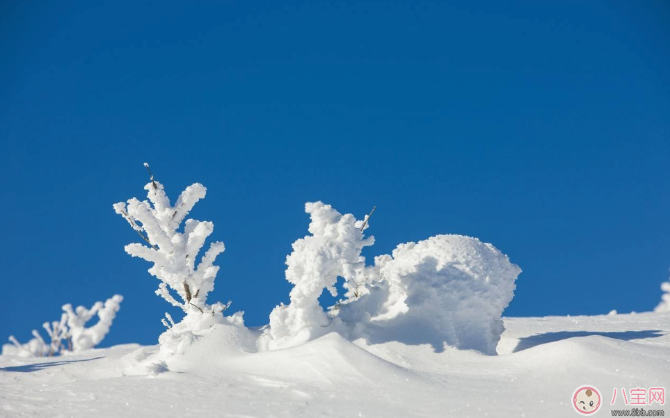 形容第一次看见雪的心情句子   第一次见到雪心情短语说说朋友圈