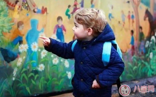 夏洛特小公主上什么幼儿园   为什么夏洛特与哥哥的幼儿园选择不一样