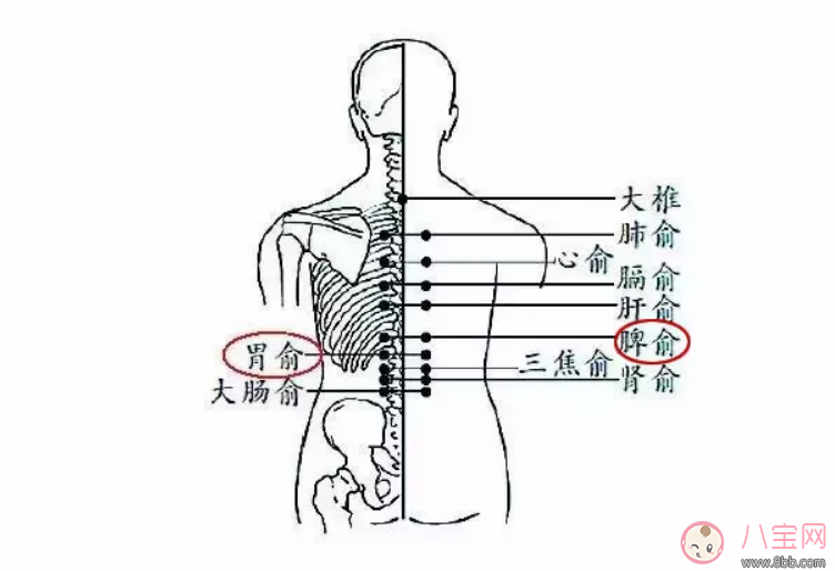 孩子脾胃不好如何推拿   宝宝脾胃虚弱推拿手法