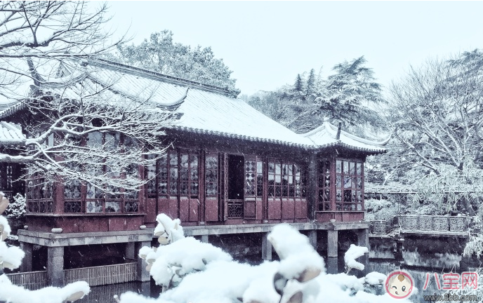 说说|下雪了怎么发朋友圈比较好 关于下雪的唯美句子