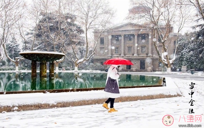 说说|下雪了怎么发朋友圈比较好 关于下雪的唯美句子