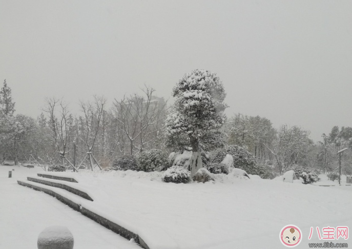 说说|下雪了怎么发朋友圈比较好 关于下雪的唯美句子